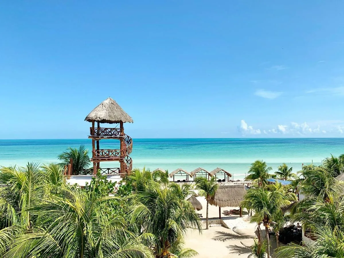 ****  Palapas Del Sol Hotell Isla Holbox Mexiko