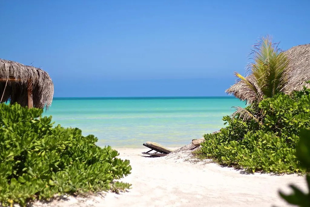 Palapas Del Sol Hotel Holbox