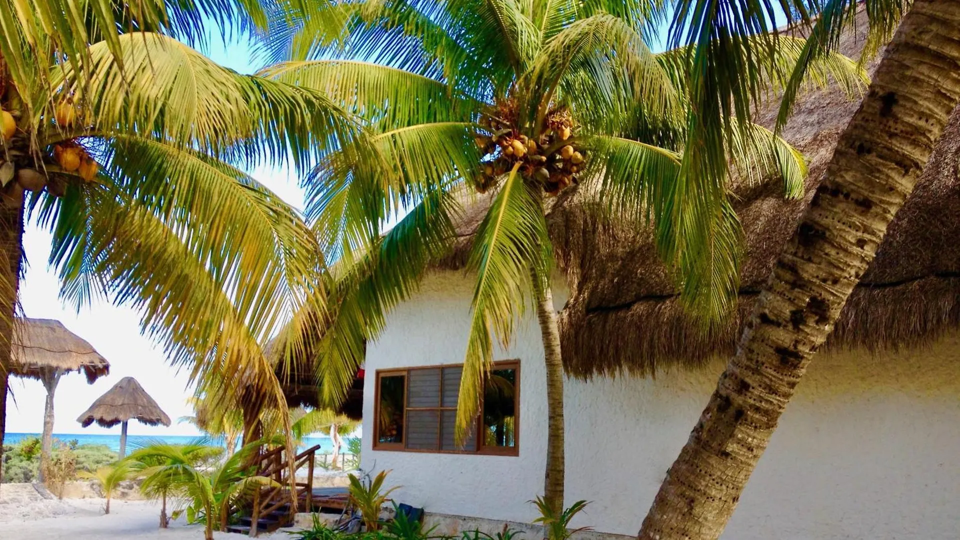 Palapas Del Sol Hotel Isla Holbox