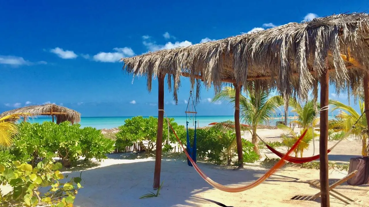 Palapas Del Sol Hotel Isla Holbox Mexico