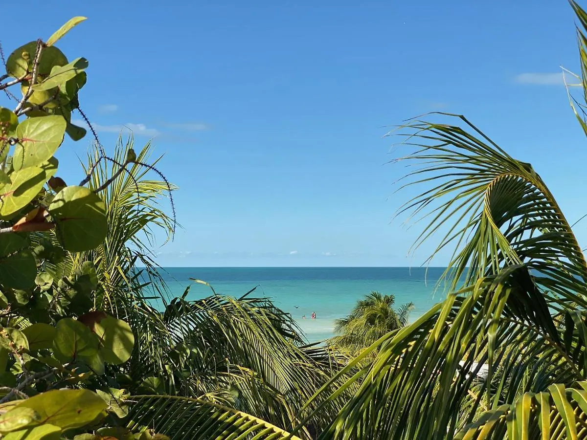 ****  Palapas Del Sol Hotel Isla Holbox Mexico